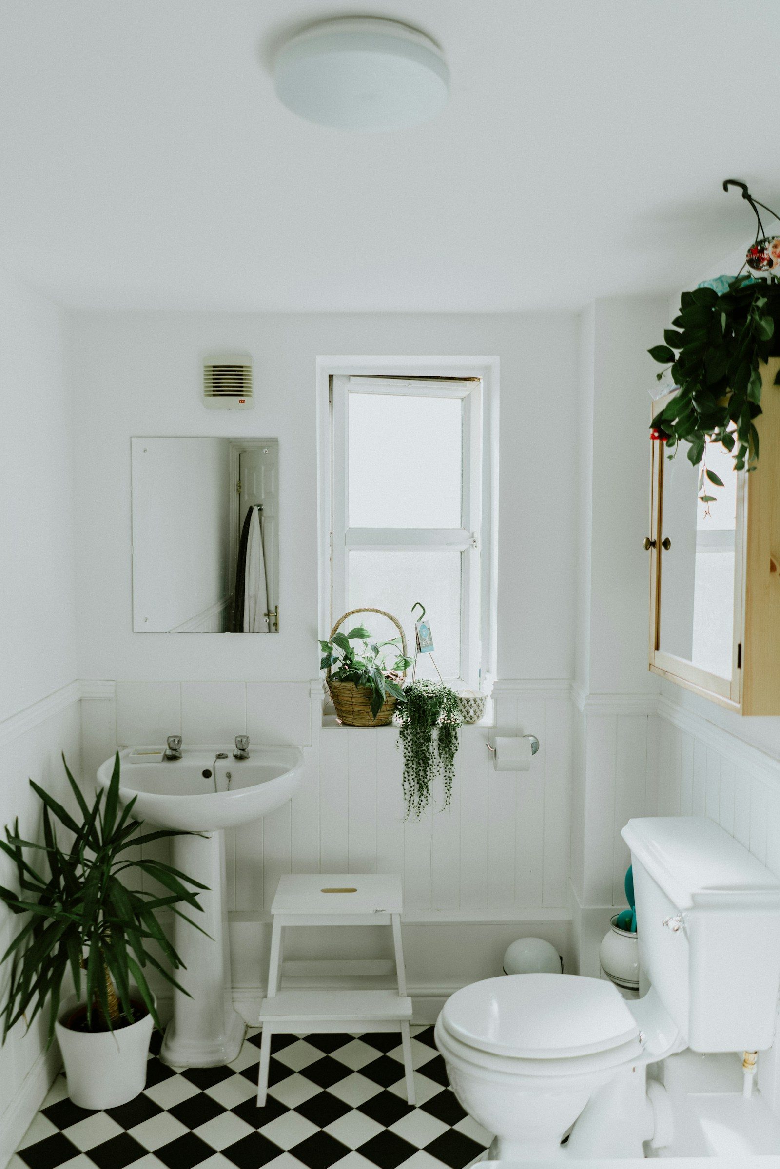 Bathroom Renovation photo 5