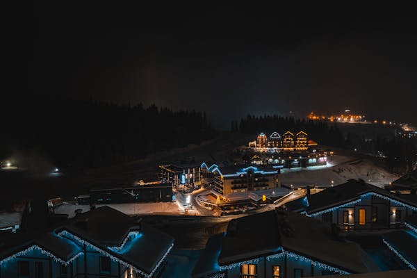 Professional Christmas light installers